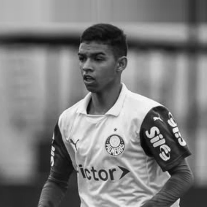 Davi Roque