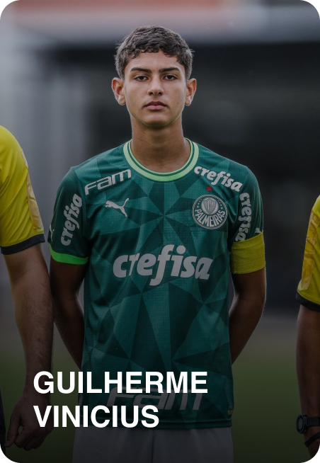 GuilhermeVinicius