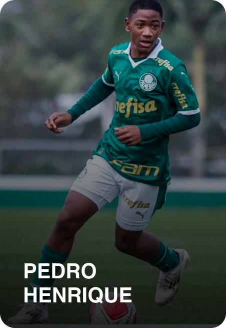 PedroHenrique